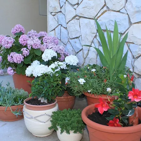 With Parking Space Punta Kriza, Cres - 8082 Daire