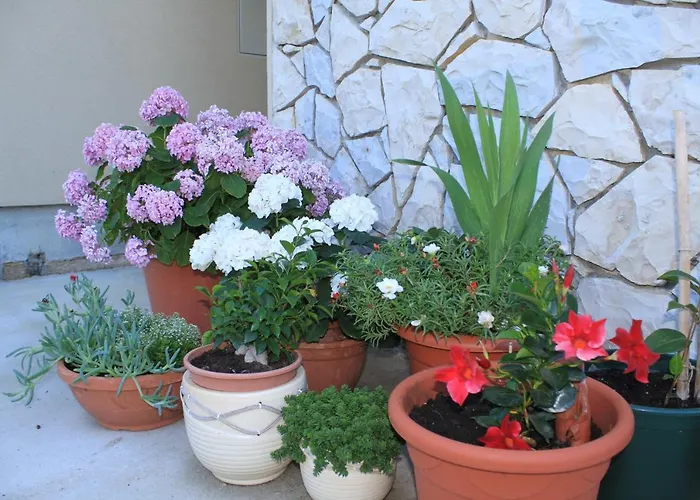 With Parking Space Punta Kriza, Cres - 8082 Apartment