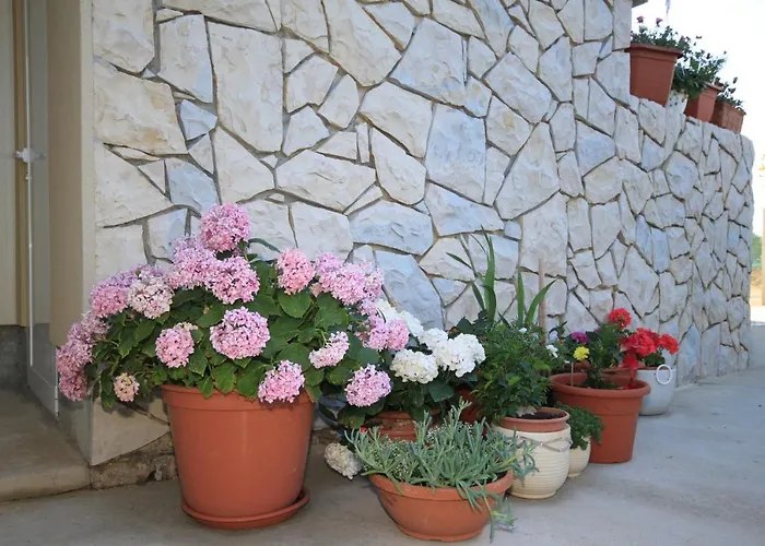 With Parking Space Punta Kriza, Cres - 8082 *