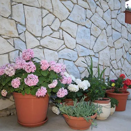 With Parking Space Punta Kriza, Cres - 8082 *